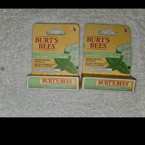 Burts Bees Balm Cucumber Mint